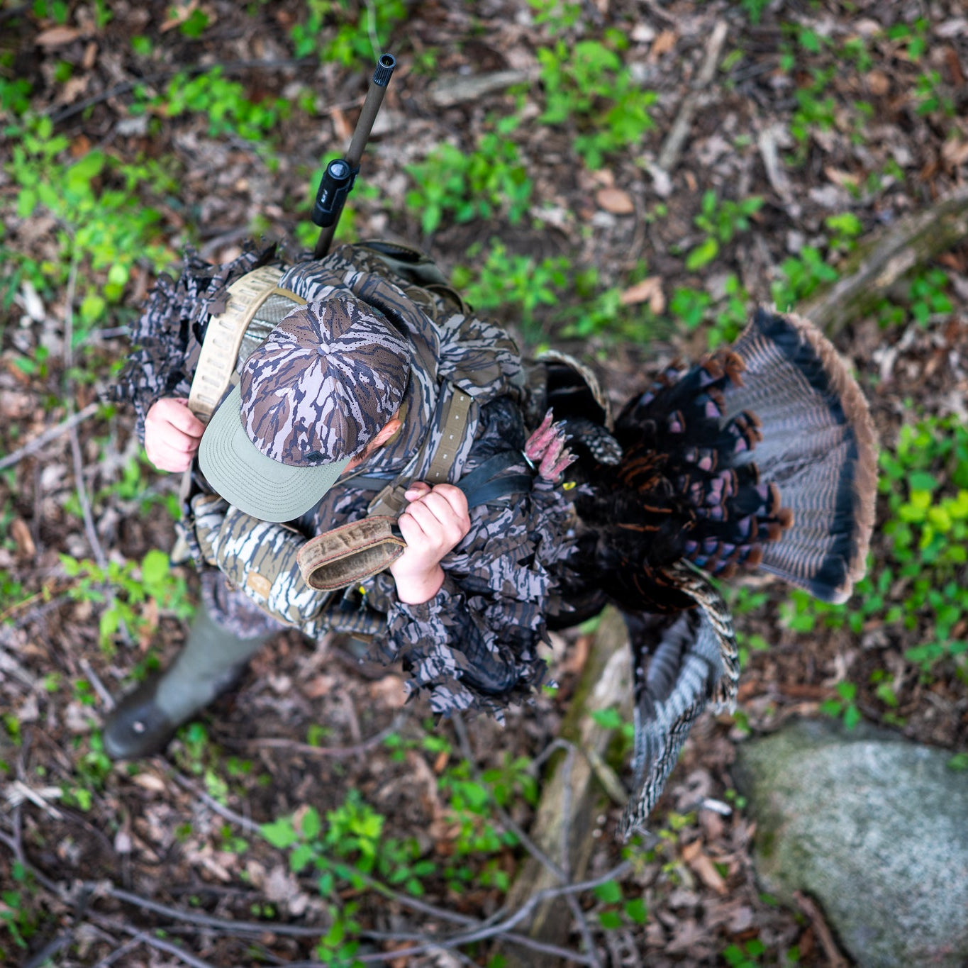 Person holding a turkey in a forest setting